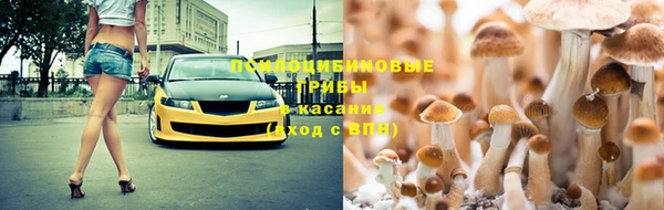 mix Зерноград