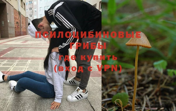 метадон Зеленодольск