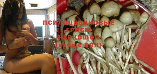 метадон Зеленодольск